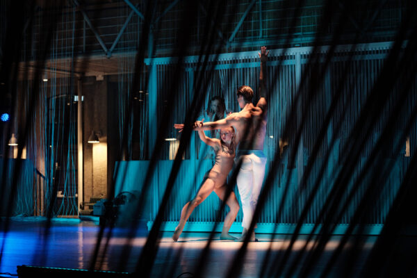 srgb0431_copy_ricofeldfoss_53139531747_o srgb0431_copy_ricofeldfoss_53139531747_o